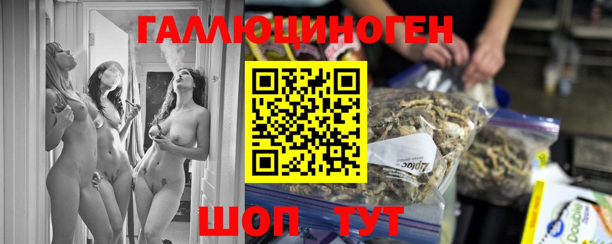 Псилоцибиновые грибы мицелий Пугачёв